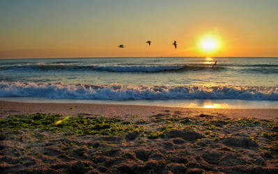 Sunrise by the beach