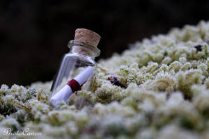 Message In A Bottle by PhotoCanon