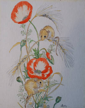 Field mice and Poppies