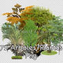 Arboles / plantas pack PNG