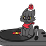 Spin