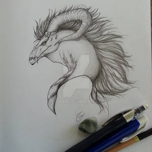 Dragon sketch