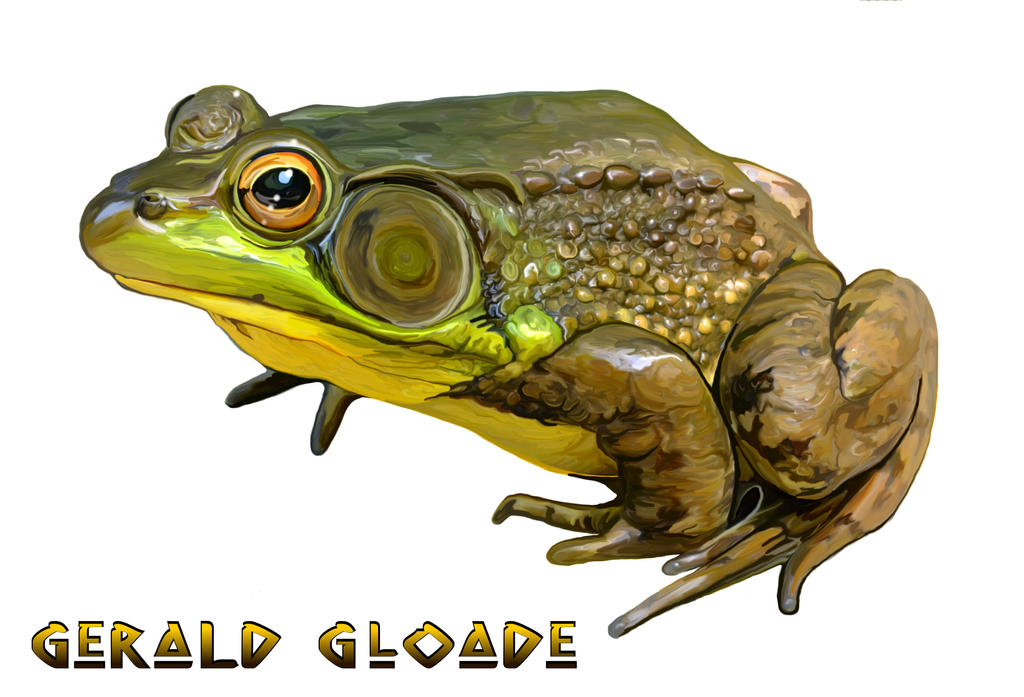 Bullfrog by gloade on DeviantArt