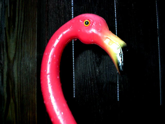the crying flamingo by eraserhead999 on DeviantArt