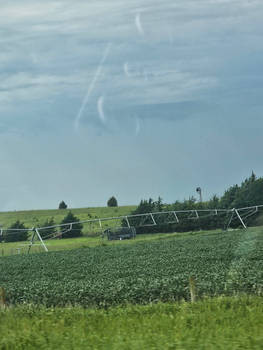 ''Irrigation''