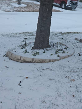 ''Frozen Ground''