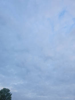 ''Cloudy'' V