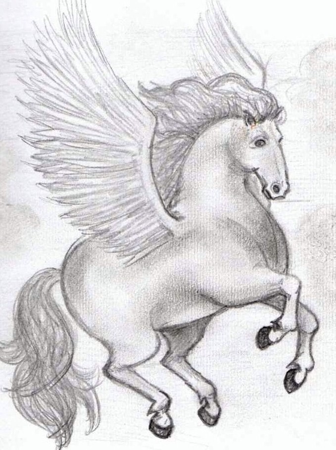 pegasaus