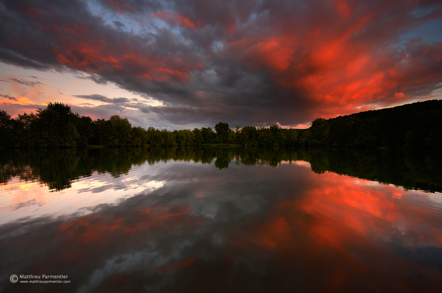 Spring Reflexion