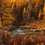 Along the river