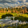 The beaver dam