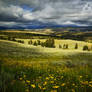 The vast lands of Yellowstone