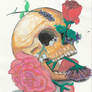 Skull practice