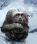 Yeti by BonnySaintANdrew