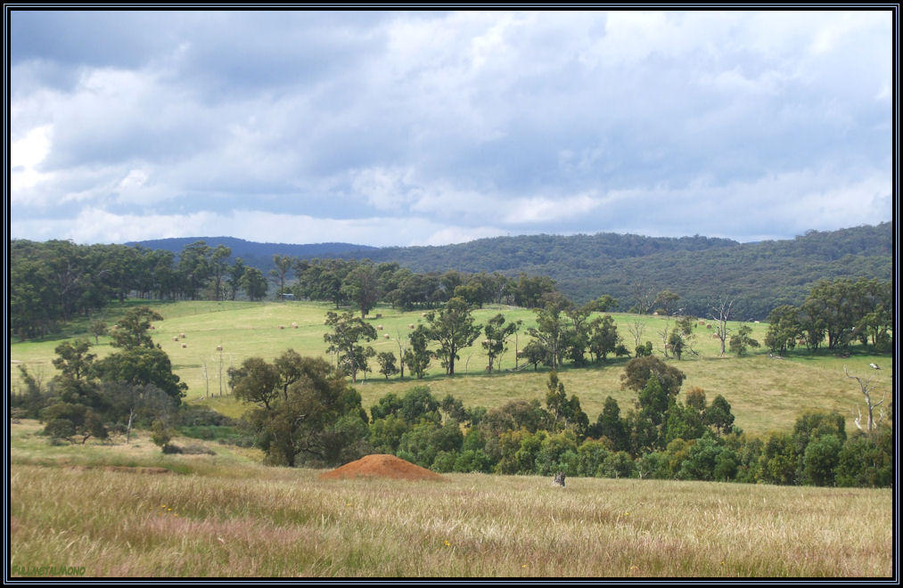 Mill Valley Ranch 1 by FullMetalMono on DeviantArt