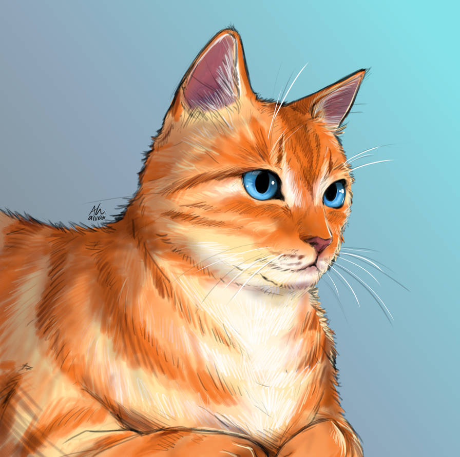 Chadwick - cat main character of If I Was A Cat by Outeregions on ...