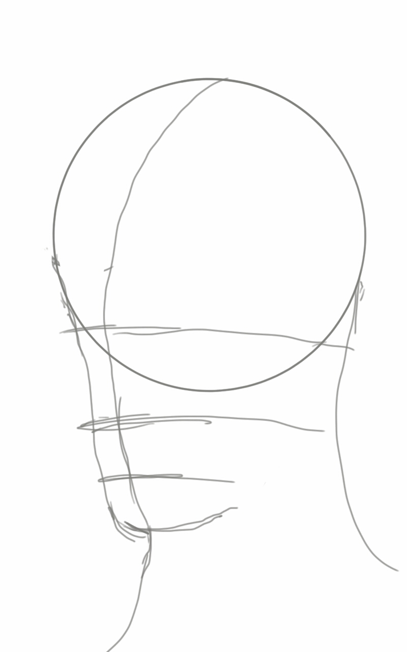 Human Head Drawing Template