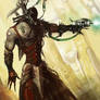 Dark Eldar: Wrack