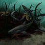 Spiny Dogfish