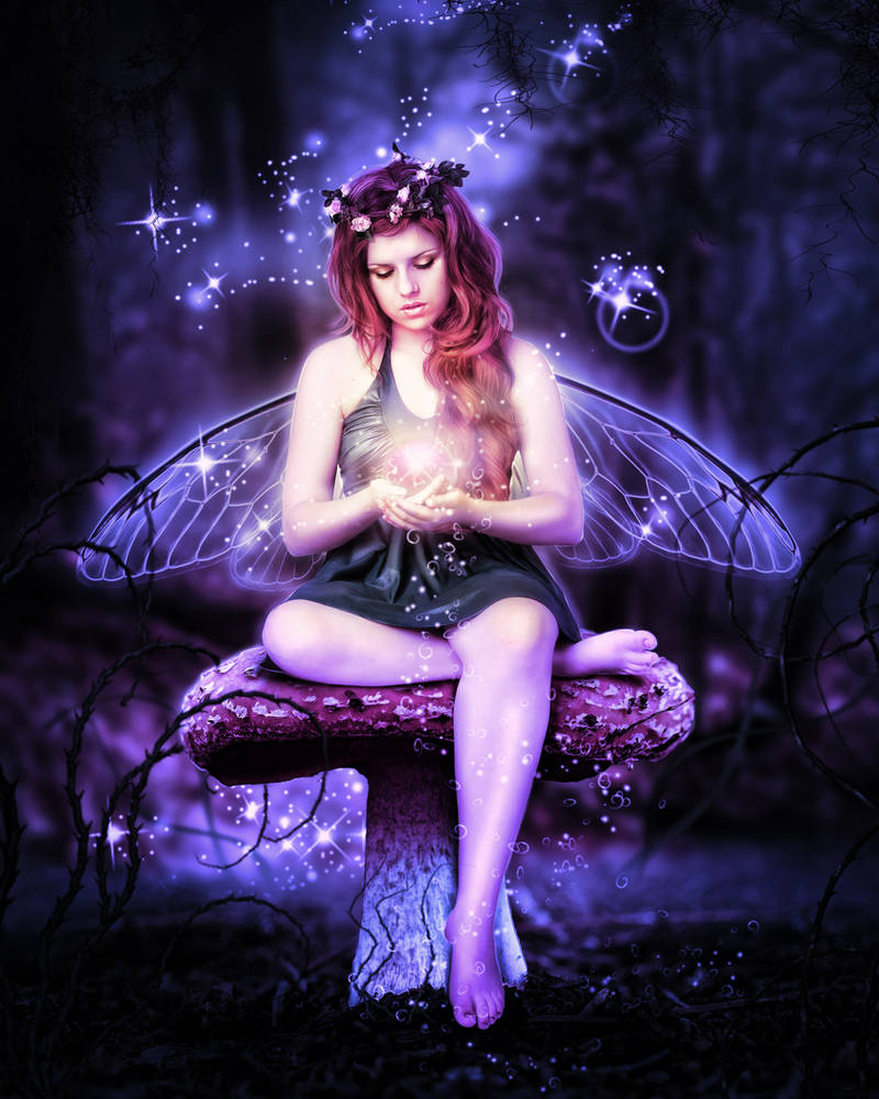 Mushroom Fairy Magic Night