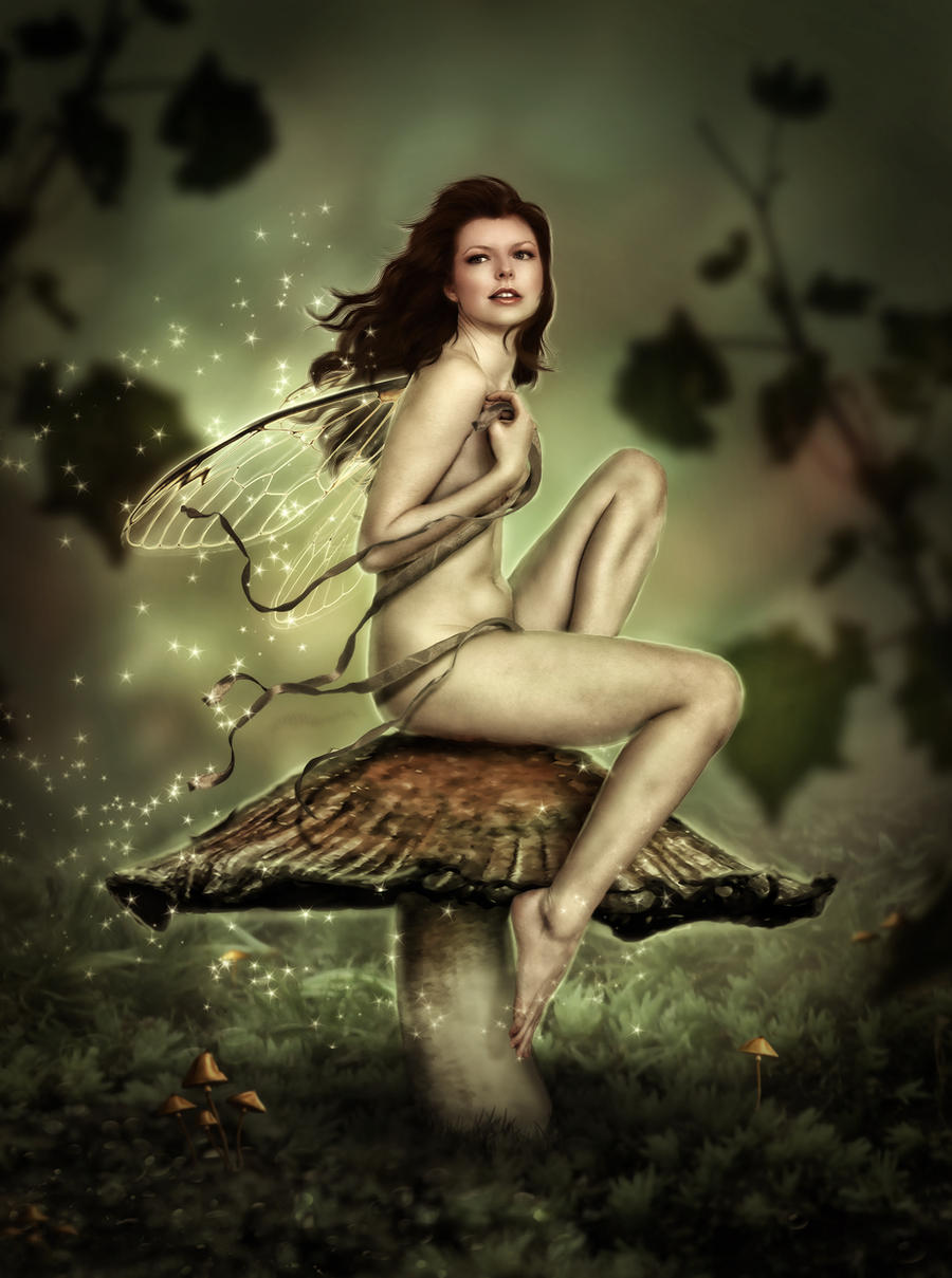 Mushroom Fairy 2