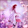 Fairy