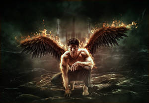 Phoenix by brandrificus Phoenix by brandrificus
