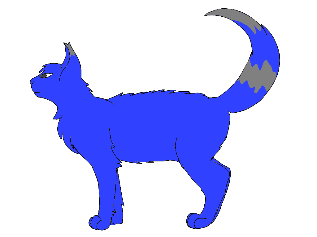 Blue cat