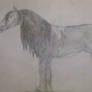 Very First Horse Drawing