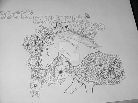 Rocky Mountain Horse Coloring Page