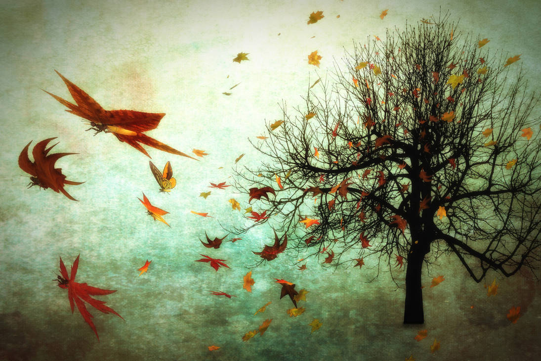 Autumn Butterflies by hankep