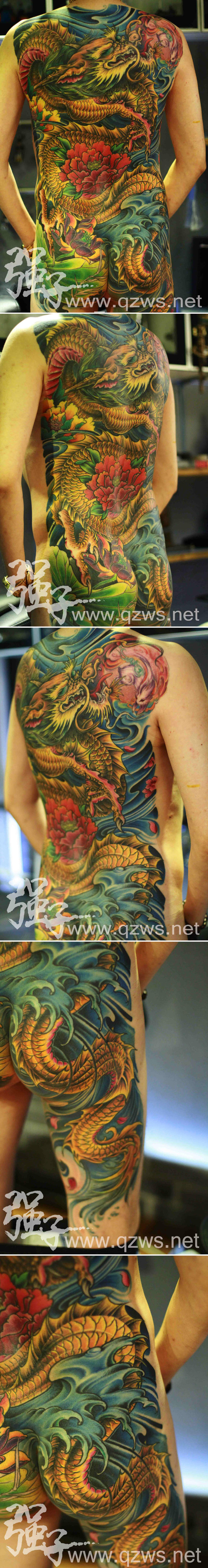 Full back full colour Chinese water dragon