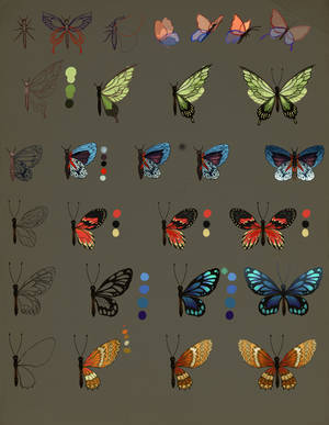 How To Draw Butterfly by jiuge How To Draw Butterfly by jiuge