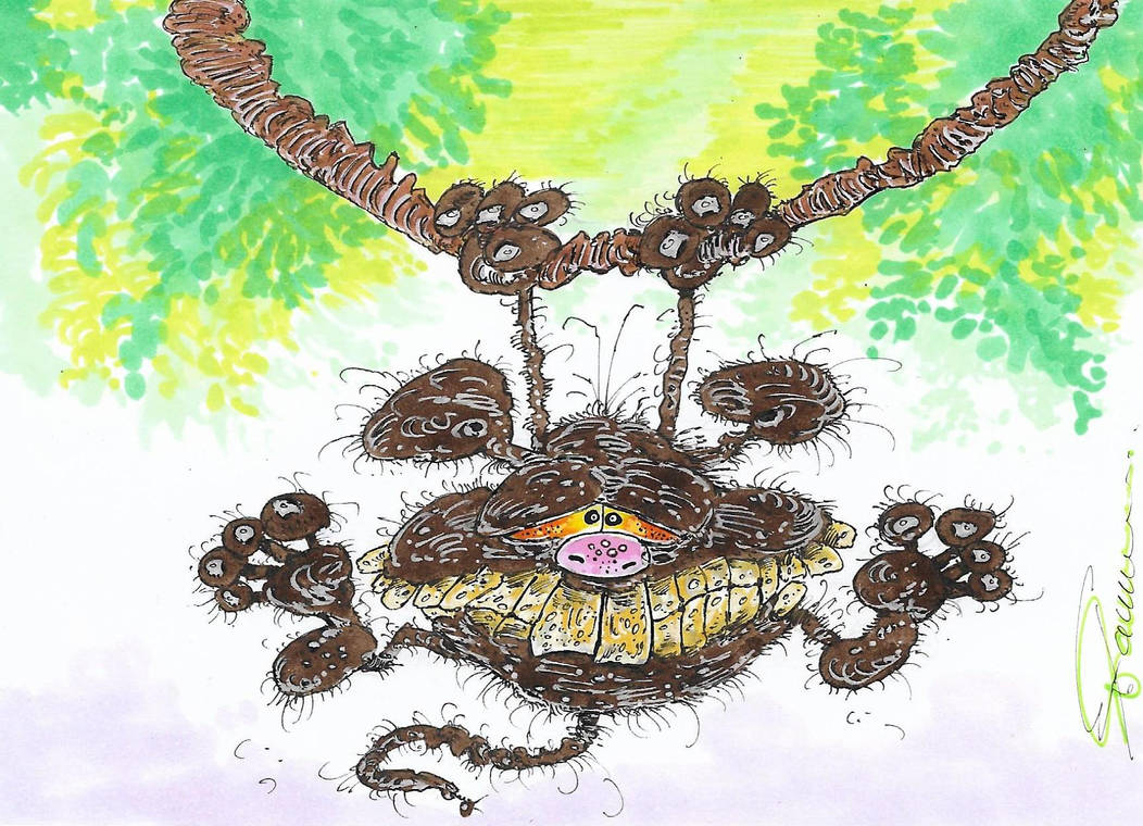 Jumpy Jumpy by Ulfberht-Blade on DeviantArt