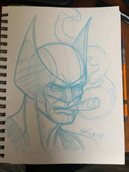 Wolverine sketch 03112024