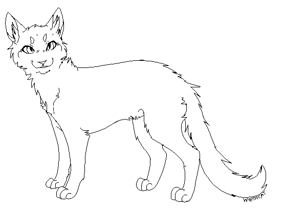 Cat lineart