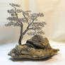 Forever Bonsai tree T-092