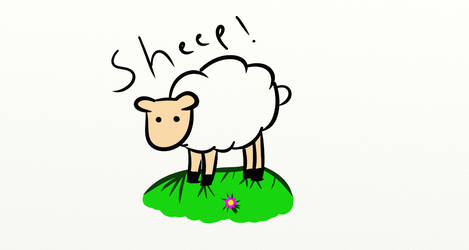 SHEEP