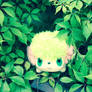 I found a Shaymin!