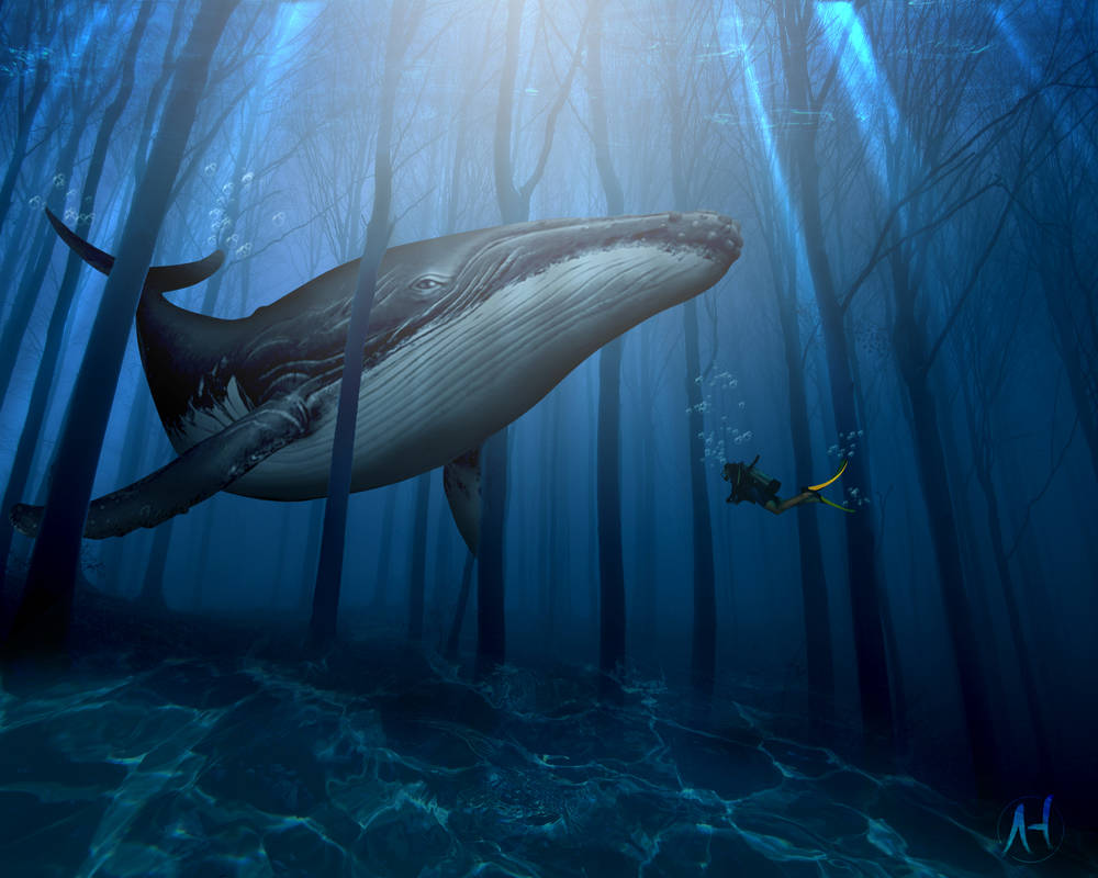 Underwater Forest Fantasy