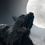 Werewolf Moon