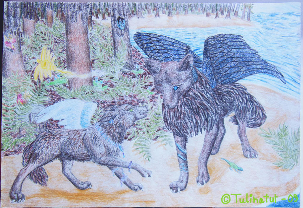 Two wolves - drawing from the year 2009 by Tulinatur on DeviantArt