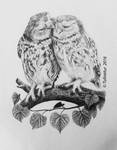 Two owls in love (wedding card comission) by Tulinatur