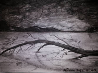 Fallen tree - 5-10 min sketches