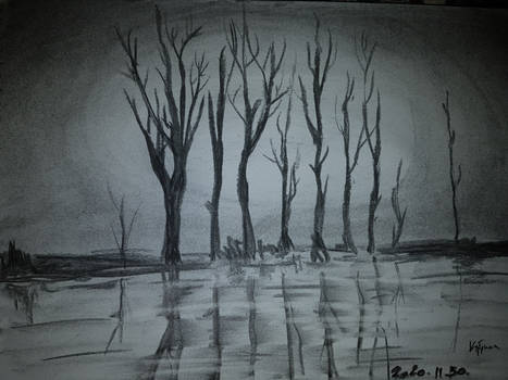 Group of trees - 5-10 min sketches