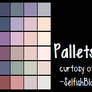 Skin Pallets -NOT MINE-