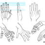 Hand Tutorial 1 - Different Poses