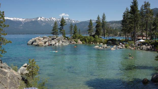 Tahoe Landscape 8