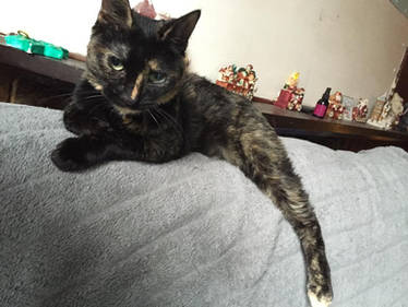 Not picture please..