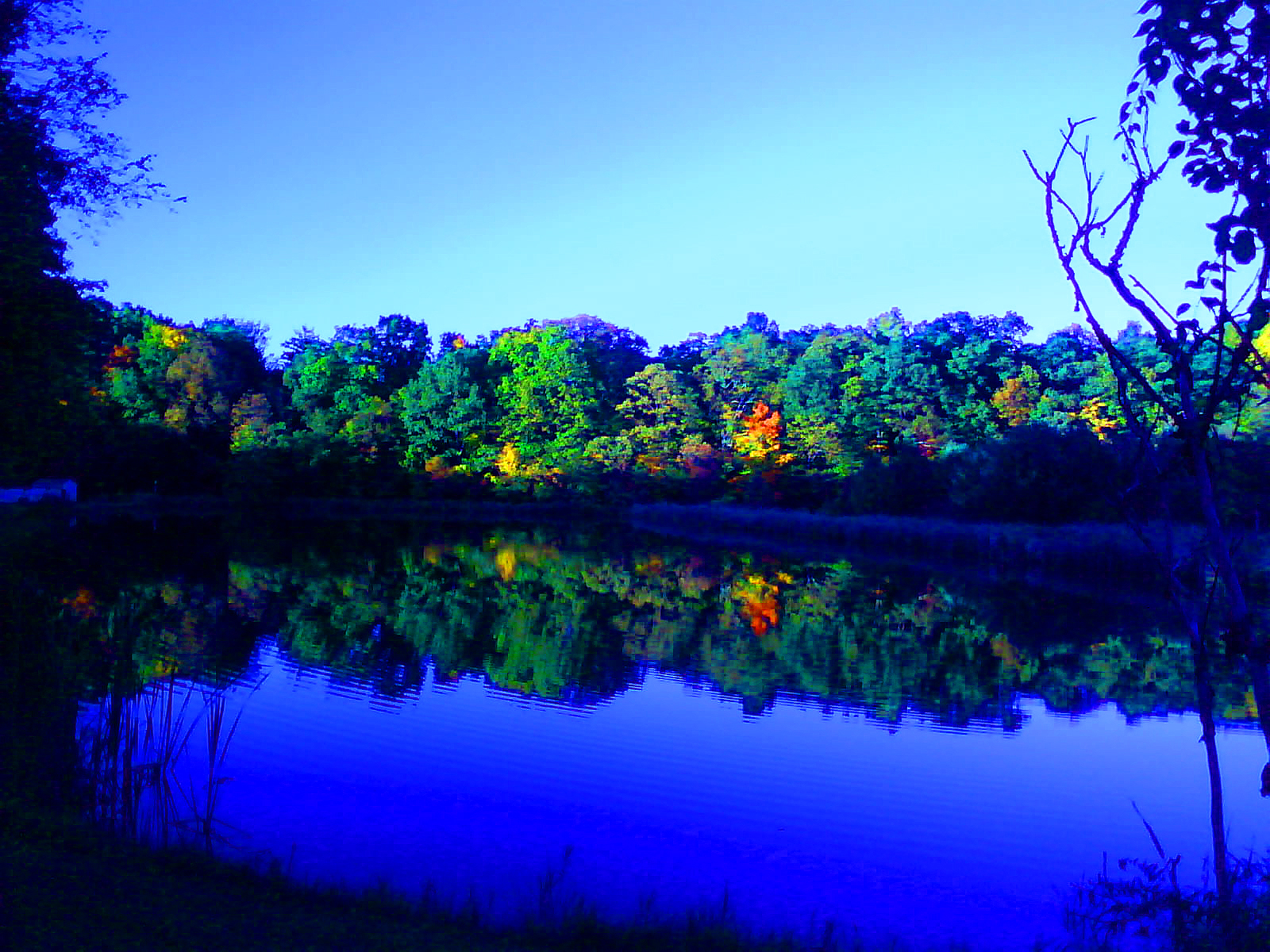 Mirror Lake